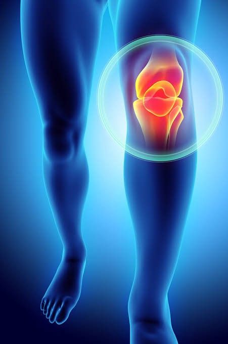 Best Joint replacement surgery in Begur
